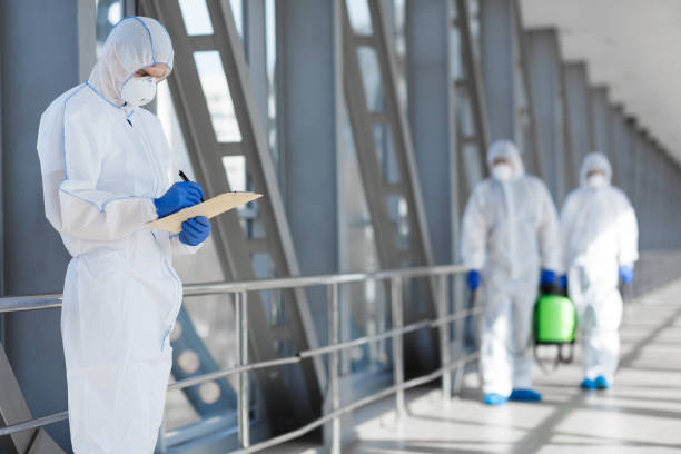 Best Attic Mold Removal  in Eerlin, ND