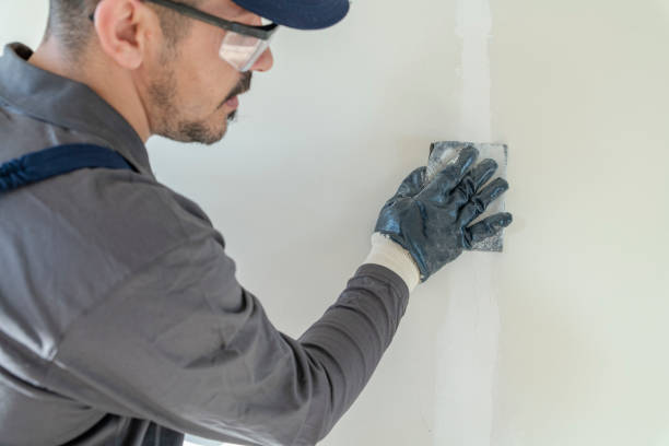 Professional Mold Removal in Enderlin, ND