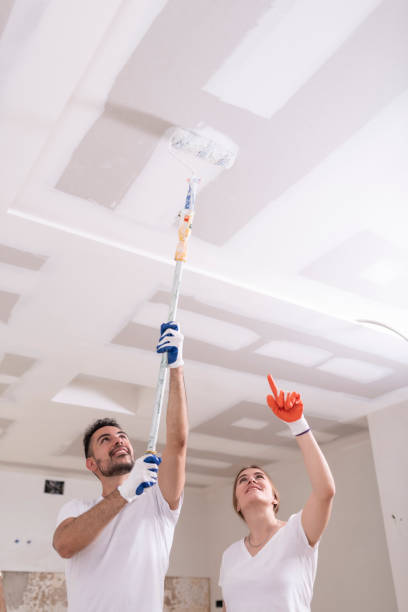 Best Mold Remediation for Healthcare Facilities  in Eerlin, ND