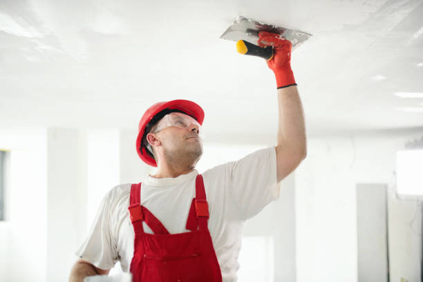 Mold Removal for HVAC Installations in Enderlin, ND