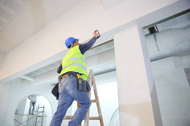 Best Emergency Mold Remediation  in Eerlin, ND