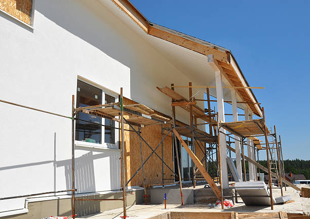 Best Black Mold Removal  in Eerlin, ND